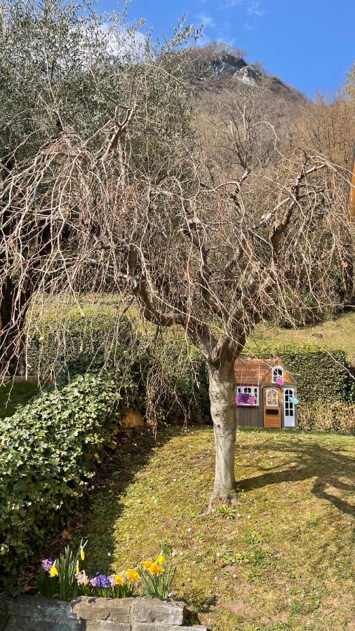 Few Steps To The Heart Of Menaggio, Swimming Pool, Breathtaking View Lägenhet Exteriör bild